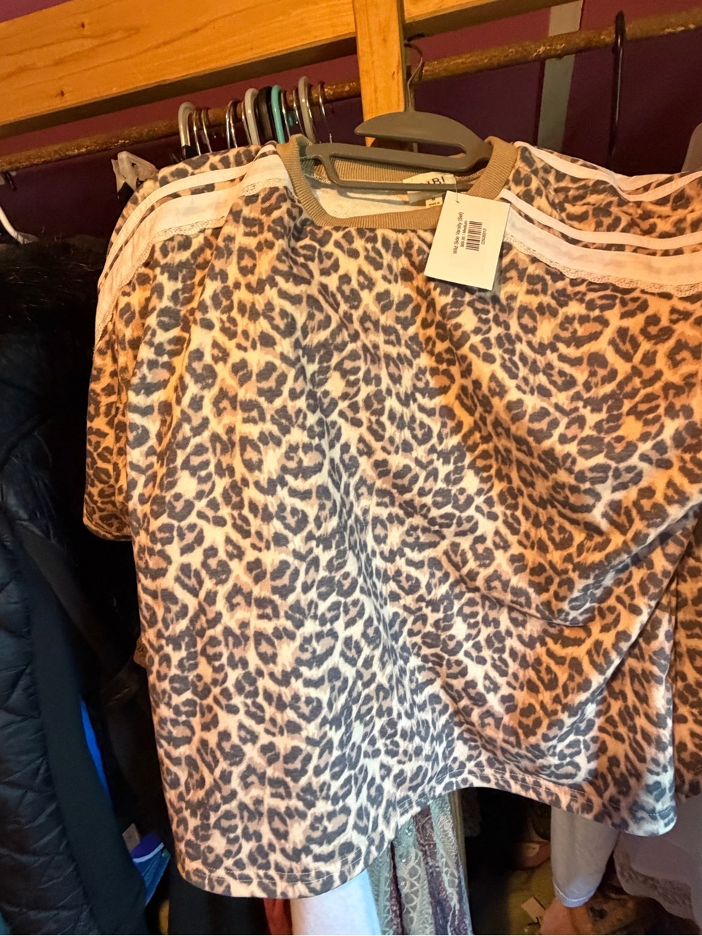 BiBi Leopard Print Women's Shorts in Tan and Black